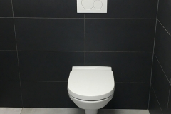 WC Standard Hallenbau